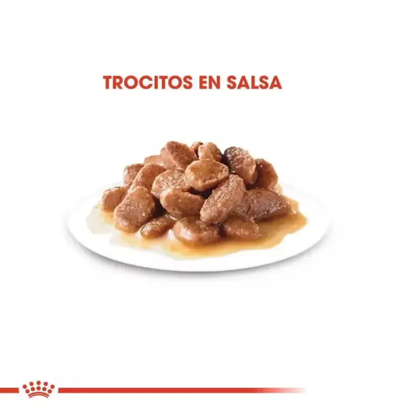 salsa-royal-canin-fhn-instinctive-para-gatos-adultos-12x85gr