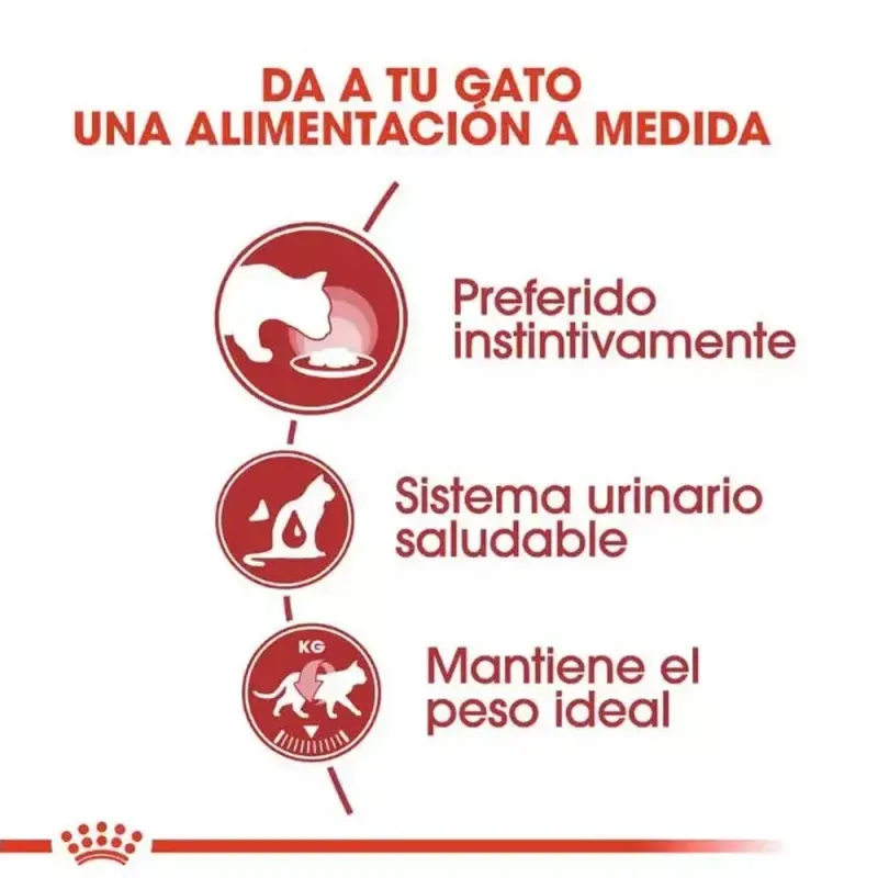 salsa-royal-canin-fhn-instinctive-para-gatos-adultos-12x85gr -1-