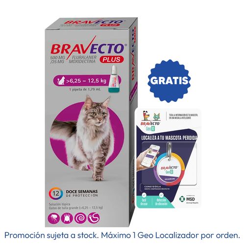Bravecto Plus Gato 6.25 - 12.5 kg X1 Pipeta