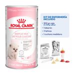 75519994343422 -KIT-