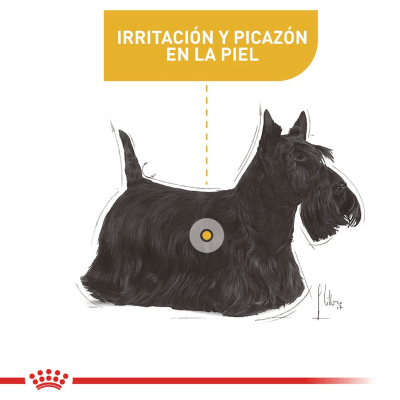 CCN-MINI-DERMA---PERRO
