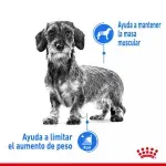 alimento-royal-canin-ccn-light-para-control-de-peso-en-perros-3kg--2-