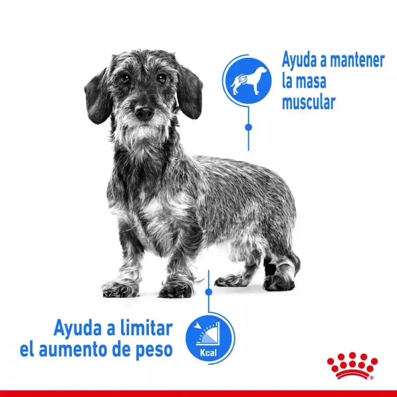 alimento-royal-canin-ccn-light-para-control-de-peso-en-perros-3kg--2-