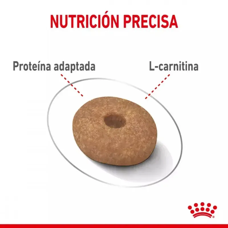 alimento-royal-canin-ccn-light-para-control-de-peso-en-perros-3kg