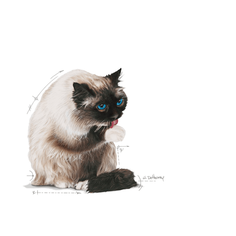 R355472---FCN-HAIRBALL-CARE-FD-2KG--4-