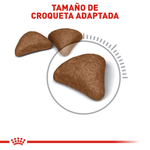 R355472---FCN-HAIRBALL-CARE-FD-2KG--3-