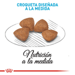 R448638---SHN-XSMALL-PUPPY-CD-1.5KG--3-