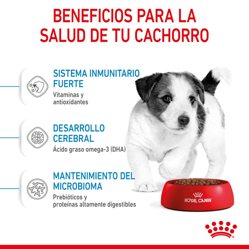 SHN-MINI-PUPPY---BENEFICIOS