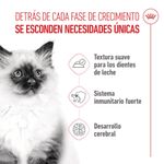 royal-canin-kitten-alimento-en-gelatina-para-gatitos