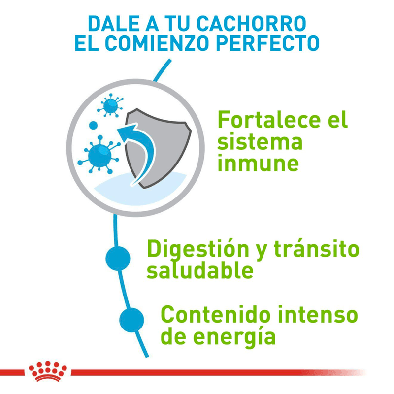 R448638---SHN-XSMALL-PUPPY-CD-1.5KG--4-