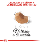 BHN-SHIH-TZU-PUPPY---CROQUETA