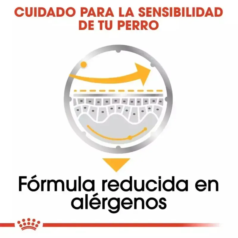 pate-royal-canin-ccn-dermacomfort-para-perros-con-piel-sensible-12x85gr--2-