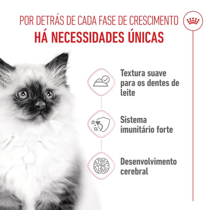 royal-canin-kitten-comida-en-salsa-para-gatitos--1-