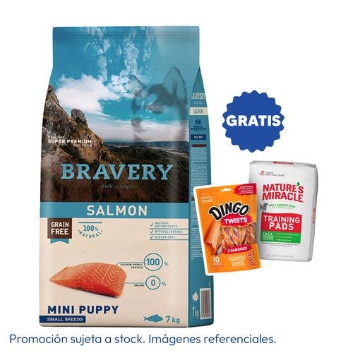 Bravery Cachorro Raza Mini y Pequeña Salmón 7 kg