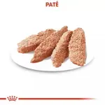 pate-royal-canin-ccn-dermacomfort-para-perros-con-piel-sensible-12x85gr